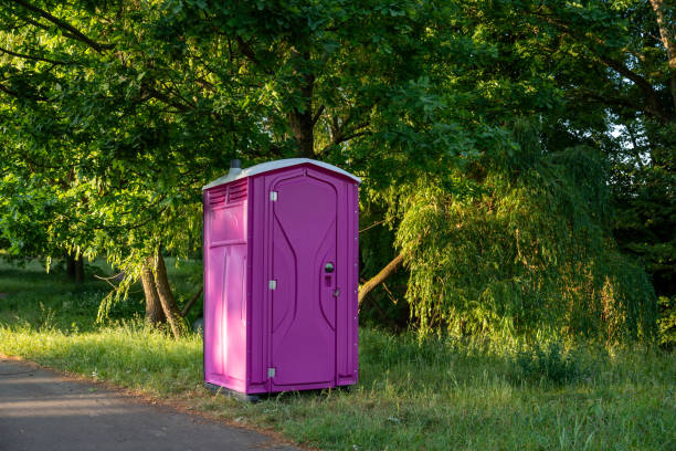 Best Affordable portable toilet rental  in Johnston City, IL